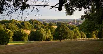 Summer evening Tapton park This landscape photograph captures Tapton Park in Chesterfield, United Kingdom, during a summer evening. The scene is set within lush nature, with a gentle slope covered in grass and surrounded by dense trees. In the distance, the church spire of Chesterfield rises above the skyline, serving as a notable landmark within the park's view. The image highlights the tranquil ambience of Tapton Park, where the combination of green parkland and mature trees reflects the seasonal vibrancy of summer in the United Kingdom. The iconic Spire of Chesterfield is visible beyond the foliage, establishing a strong sense of place and connection to the town.